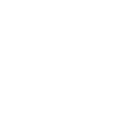 Hyster